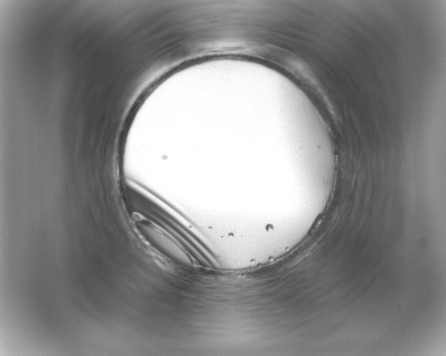 X0000065251328200603172154