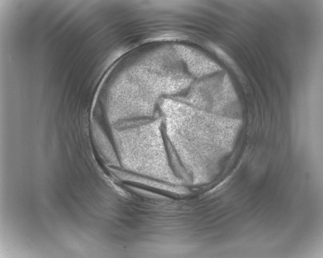 X0000065251329200603172154