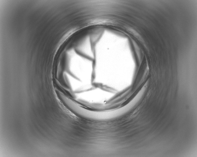 X0000065251330200603172154