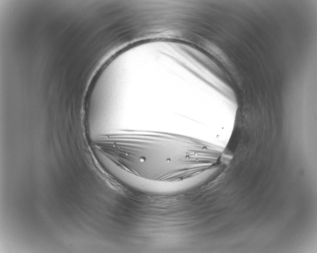 X0000065251332200603172154