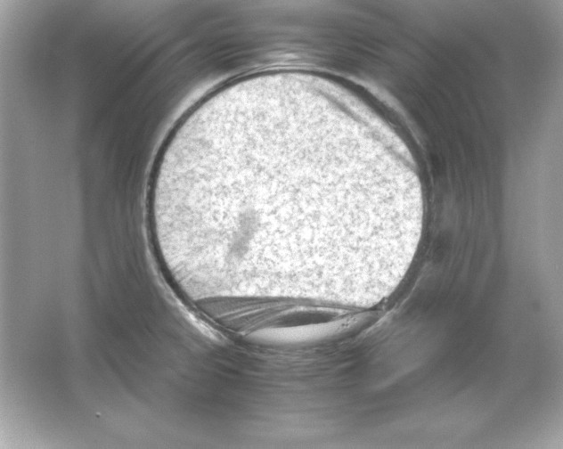 X0000065251333200603172154