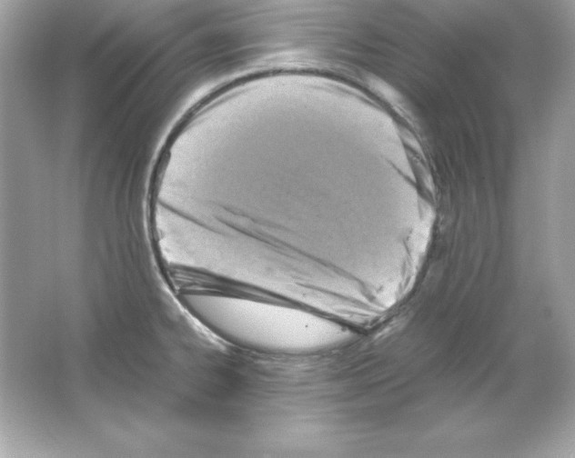 X0000065251334200603172154