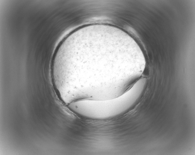 X0000065251336200603172154