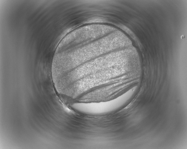 X0000065251337200603172154