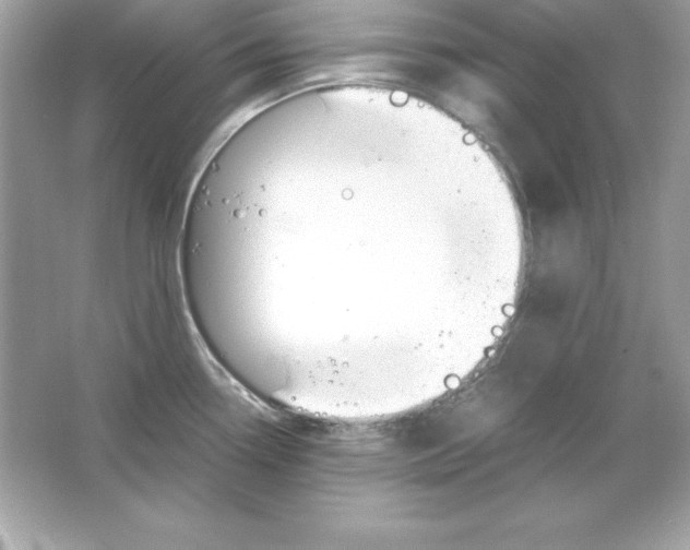 X0000065251338200603172154