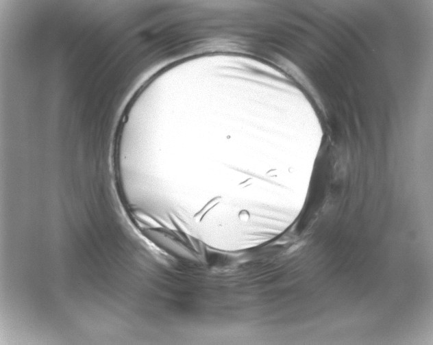 X0000065251339200603172154