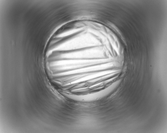 X0000065251340200603172154