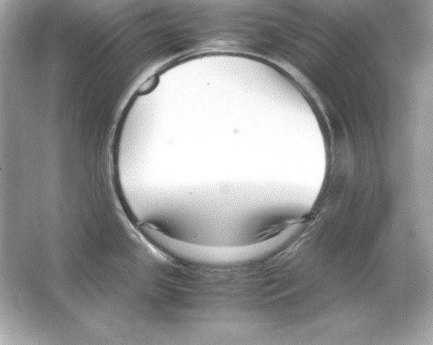 X0000065251341200603172154