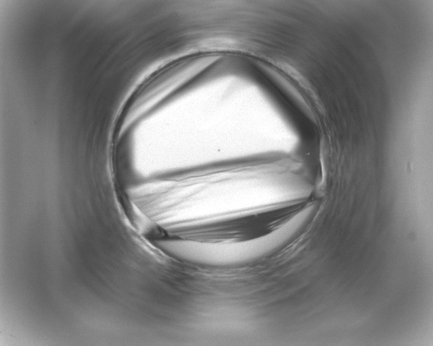 X0000065251342200603172154