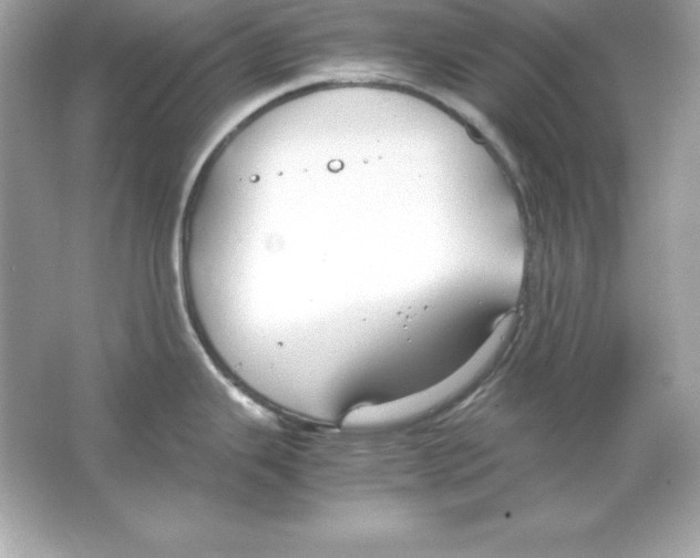 X0000065251343200603172154