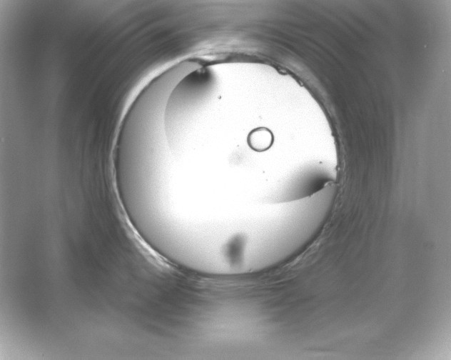 X0000065251344200603172154