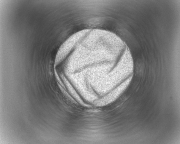 X0000065251346200603172153