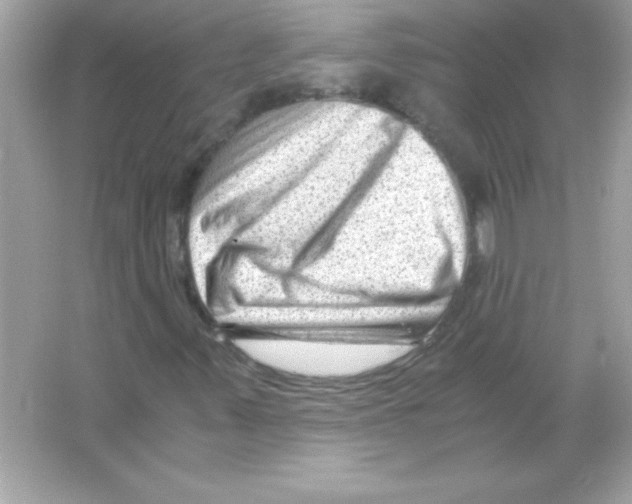 X0000065251347200603172153