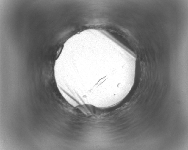 X0000065251350200603172153