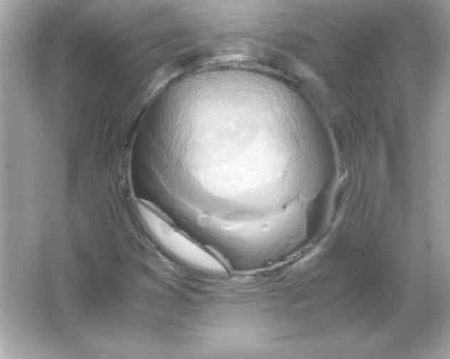 X0000065251353200603172153