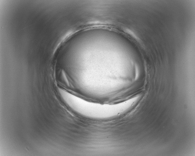 X0000065251357200603172153