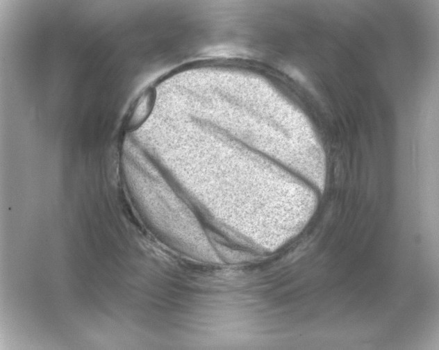 X0000065251358200603172153