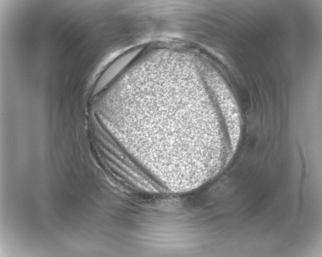 X0000065251363200603172153