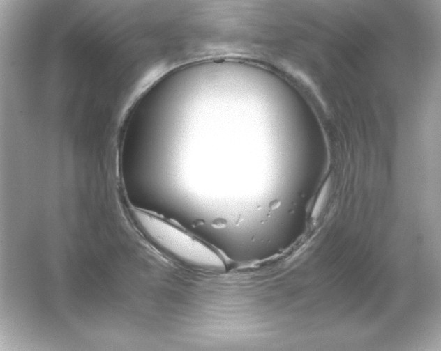 X0000065251365200603172153