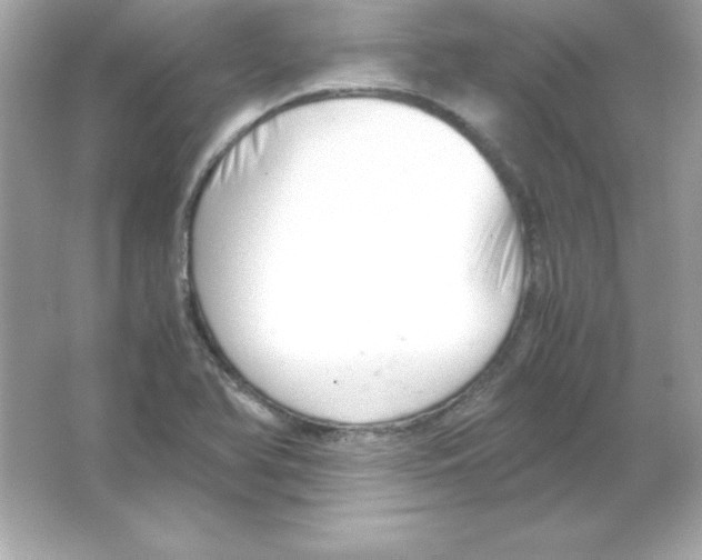 X0000065251366200603172153