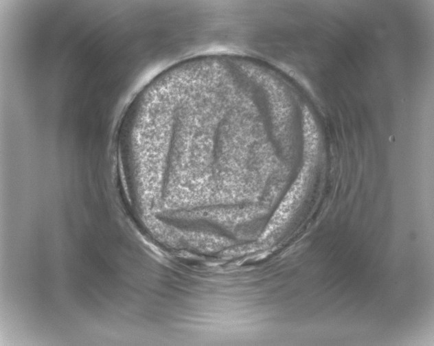 X0000065251367200603172153