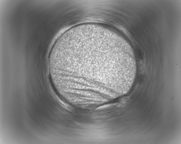 X0000065251371200603172153