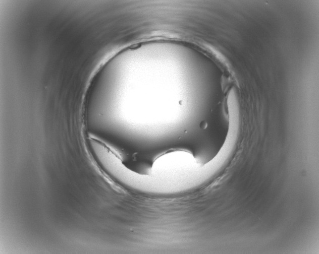 X0000065251373200603172153