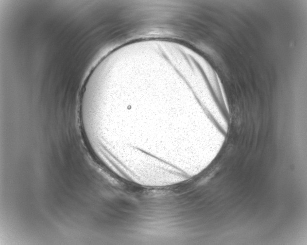 X0000065251374200603172153