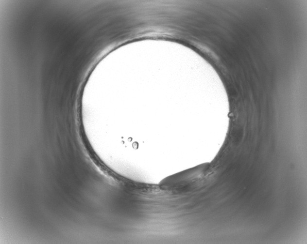 X0000065251375200603172153