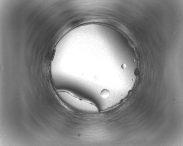 X0000065251377200603172153