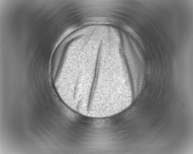 X0000065251378200603172153