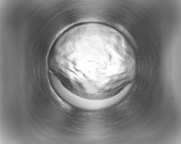 X0000065251380200603172153