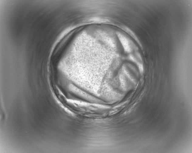 X0000065251381200603172153