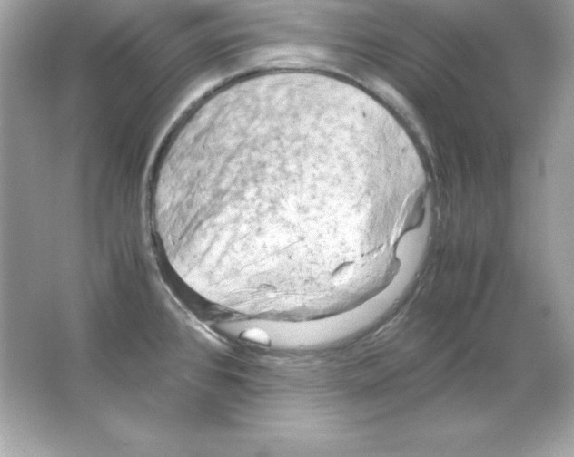 X0000065251384200603172153