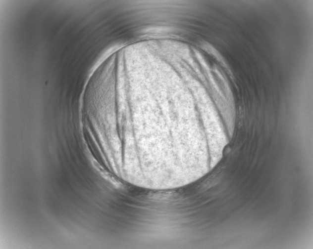 X0000065251386200603172153