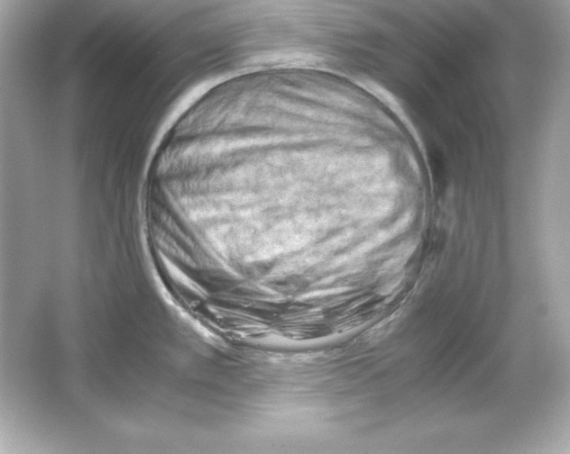 X0000065251389200603172153