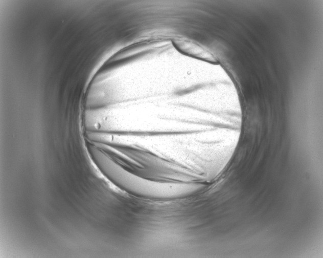 X0000065251390200603172153