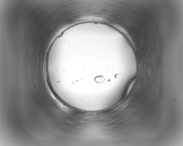 X0000065251391200603172153