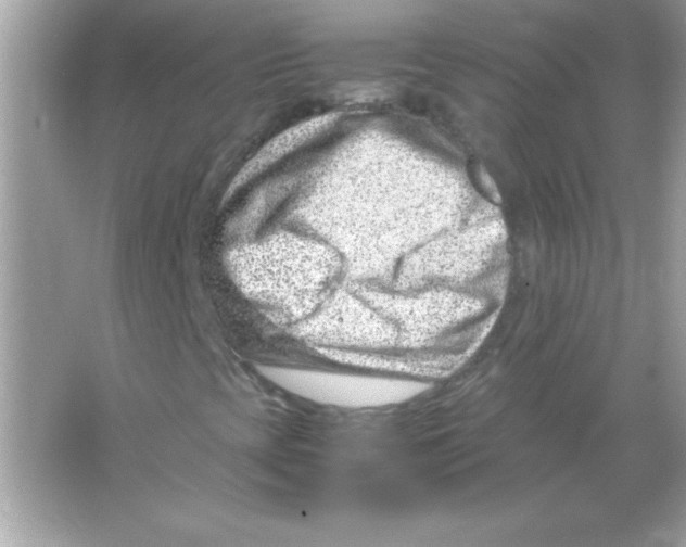 X0000065251393200603172152