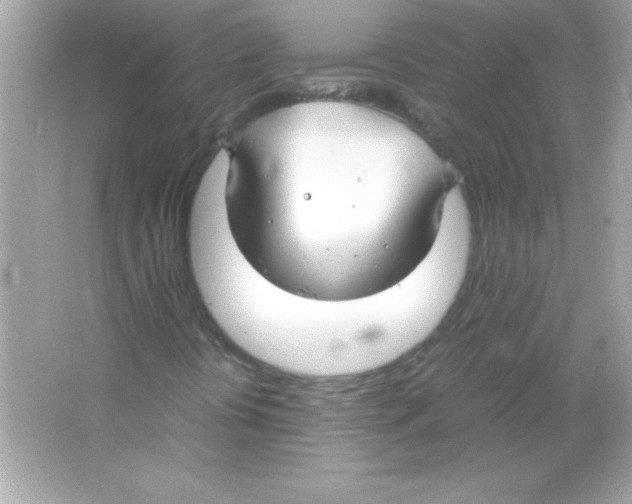 X0000065251394200603172152