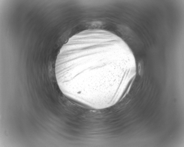 X0000065251395200603172152