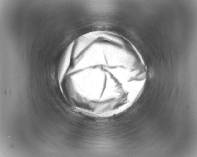 X0000065251396200603172152