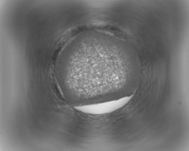 X0000065251397200603172152