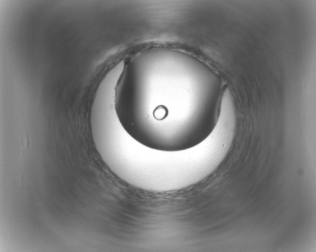 X0000065251398200603172152