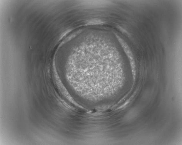 X0000065251401200603172152