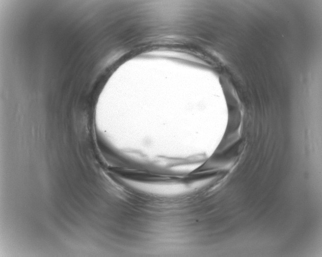 X0000065251402200603172152