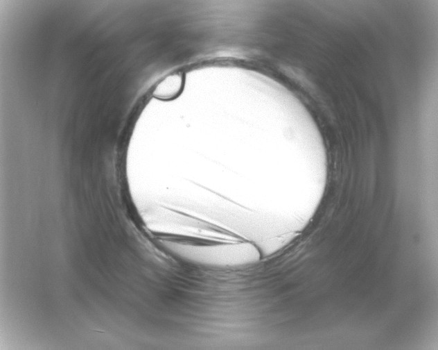 X0000065251404200603172152