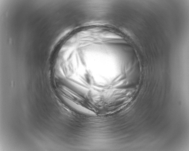 X0000065251406200603172152