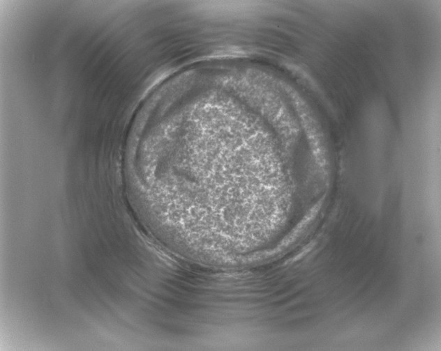 X0000065251409200603172152