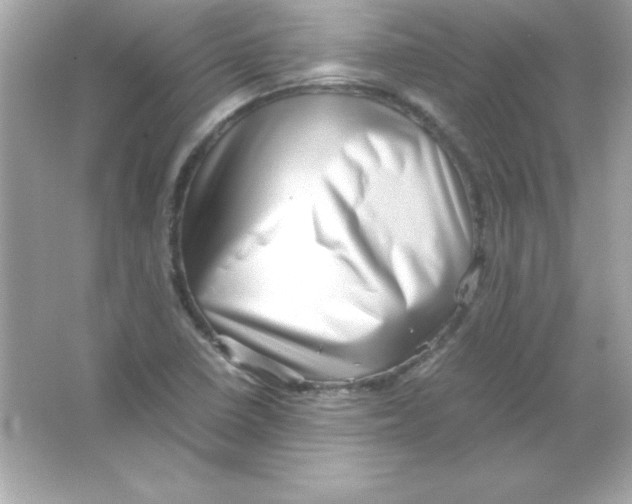 X0000065251410200603172152